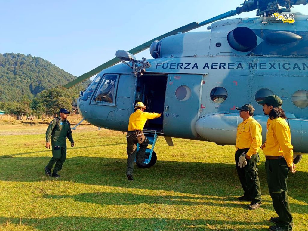 Emite Protección Civil recomendaciones a la población sobre incendios forestales