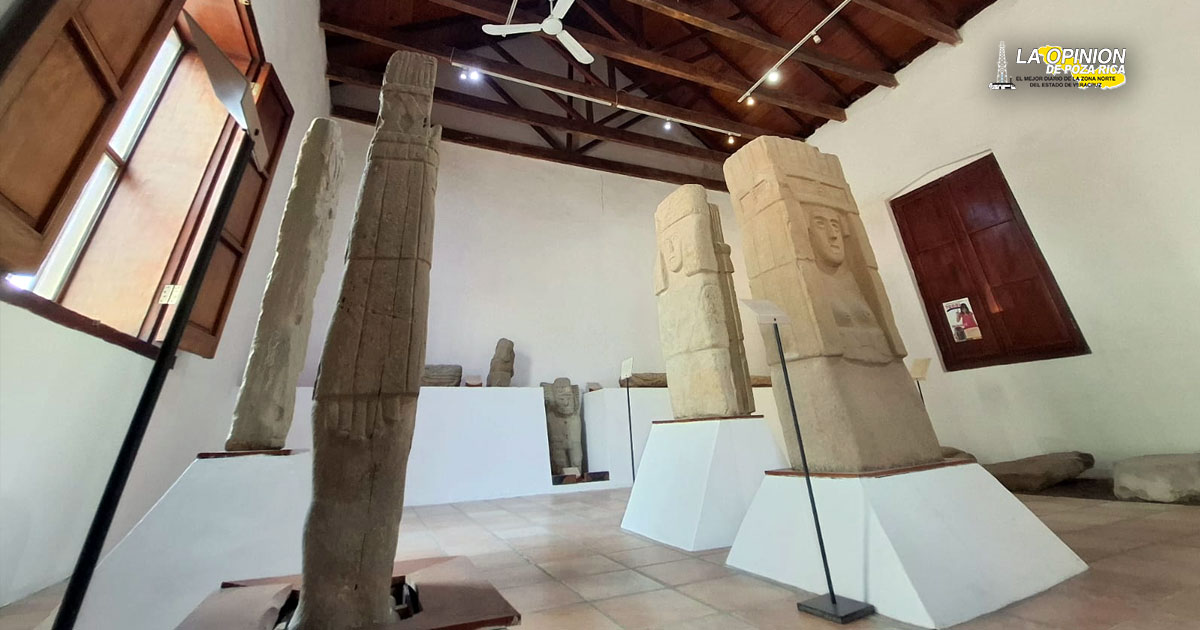 Invasión de termitas en el Museo de Sitio
