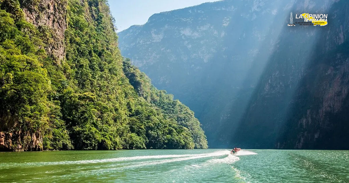 Hoy se conmemora el Día Mundial del Medio Ambiente