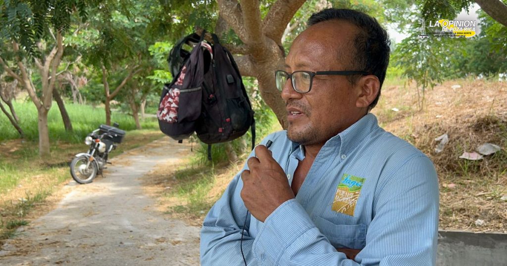 Denuncian mortandad de miles de peces en Medellín de Bravo