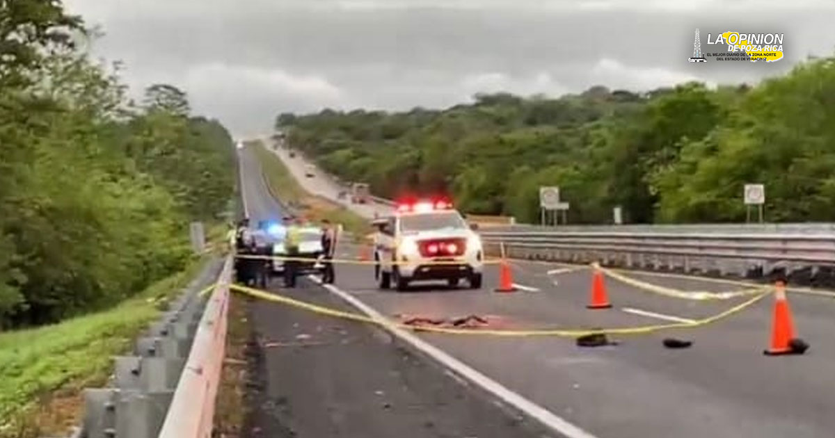 ¡Arrollan y despedazan a un hombre en la autopista!