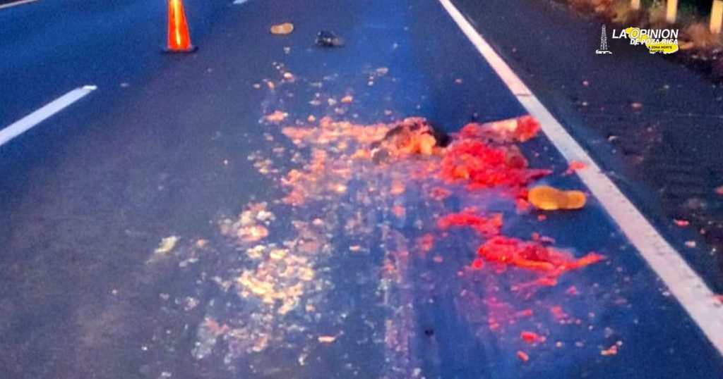 ¡Arrollan y despedazan a un hombre en la autopista!