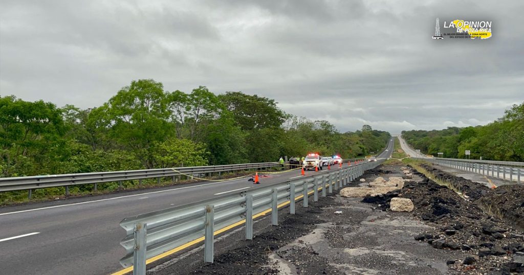 ¡Arrollan y despedazan a un hombre en la autopista!