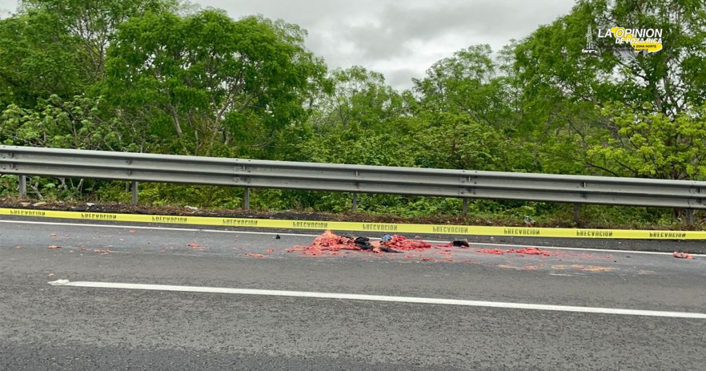 ¡Arrollan y despedazan a un hombre en la autopista!
