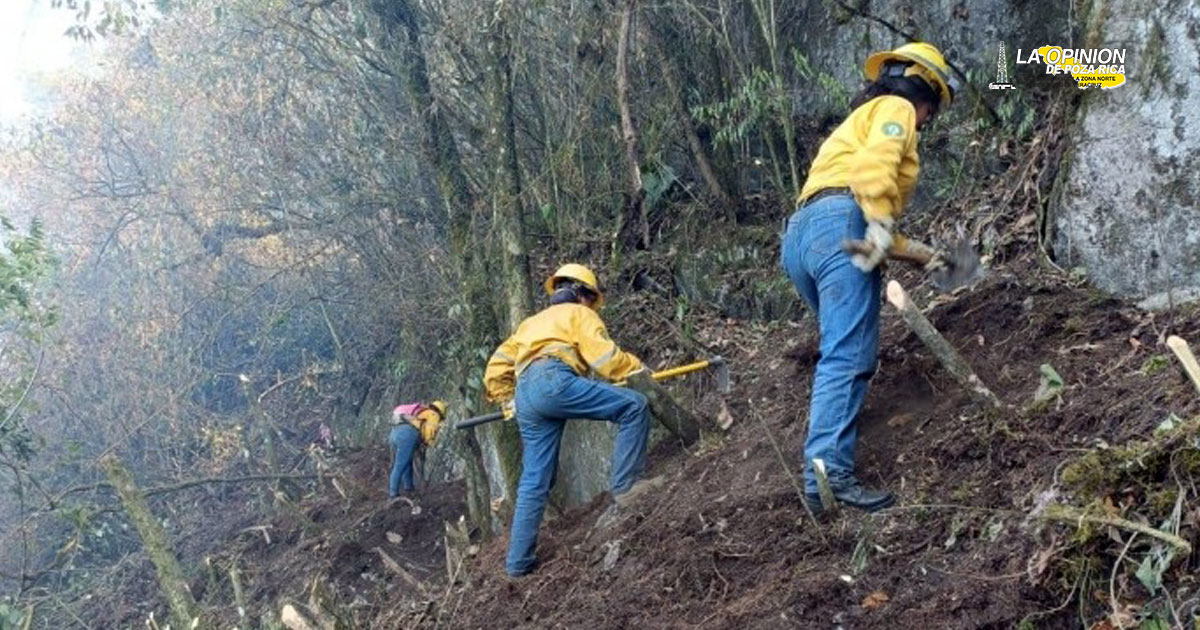 Ante incendios forestales reclamaron al gobernador