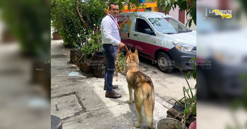 Aplican sanciones por abandono de mascotas