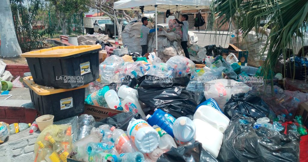 Reciclan materiales en beneficio de mascotas en situación de calle