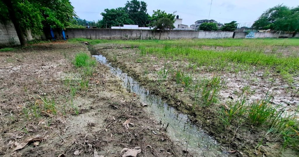 Un pantano, áreas para el deporte