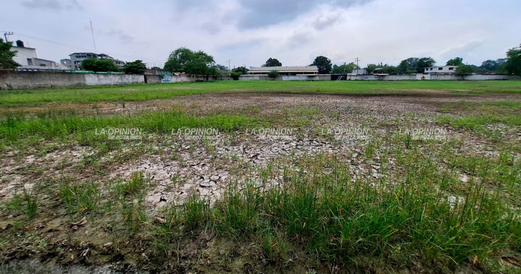 Un pantano, áreas para el deporte