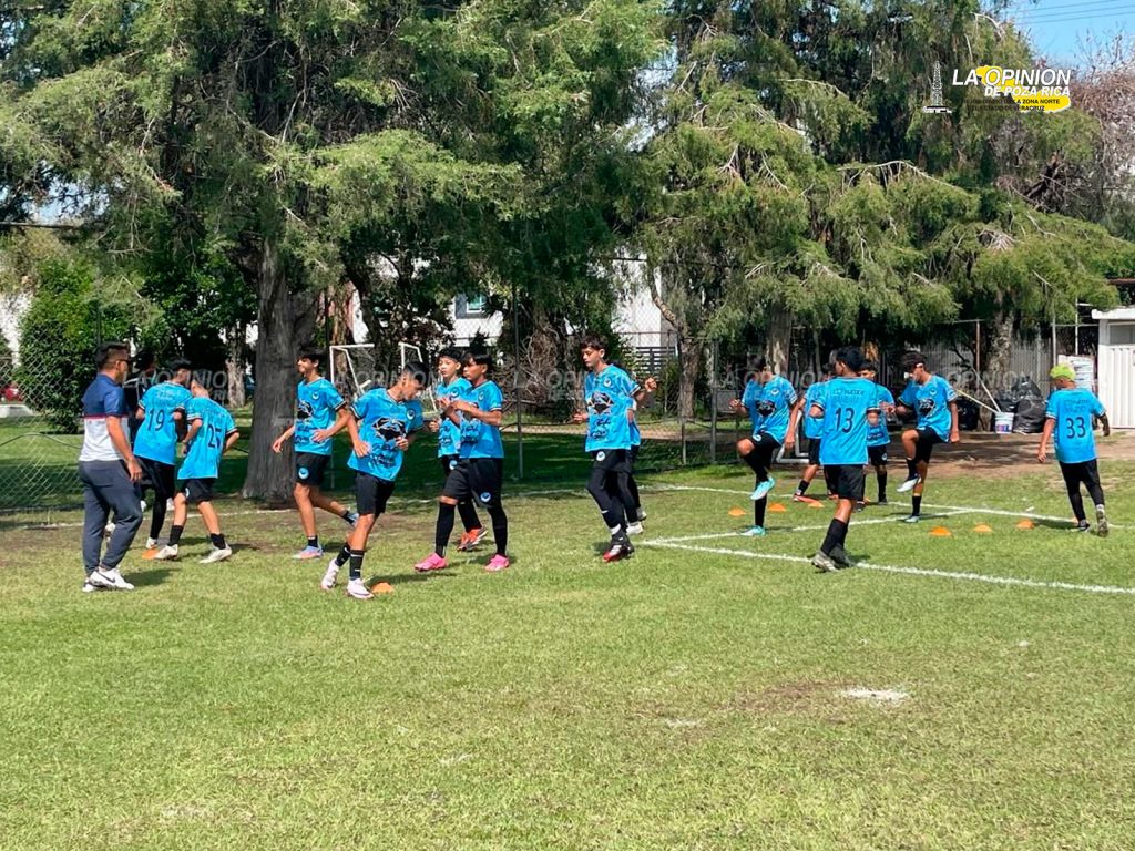Baby Star Tuzos Poza Rica gana su segundo partido