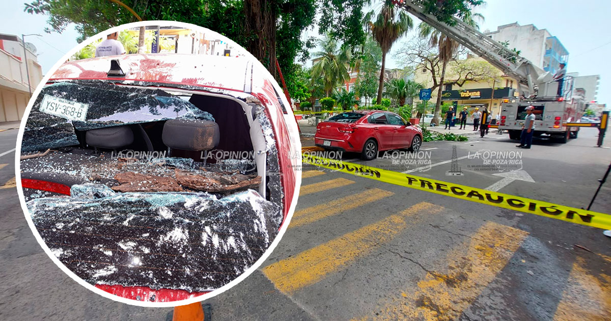 Incidente por caída de rama deja dos heridos en Veracruz
