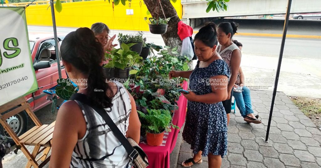 Más emprendedores en el Mercadito de los Miércoles