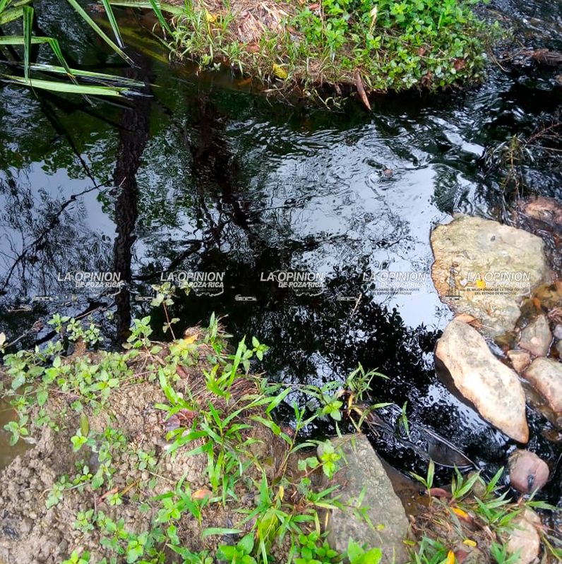 Contaminación por derrame de crudo