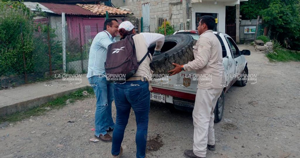 Destruyen más de veinte toneladas de cacharros en La Morelos