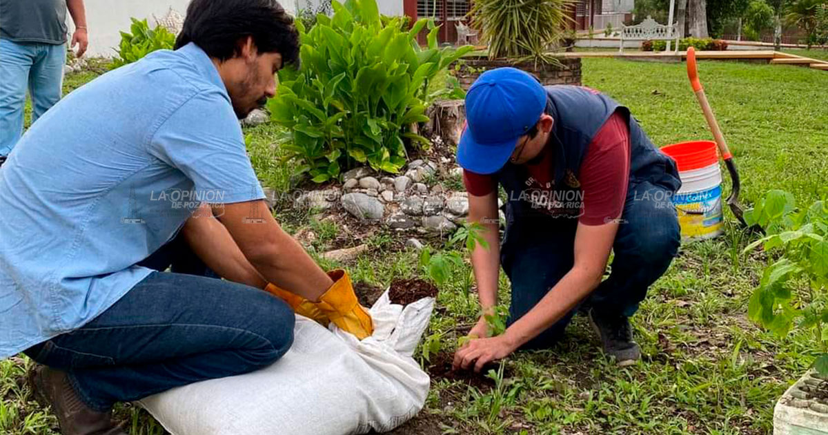 En marcha Plan Integral de Reforestación; "Adopta una Ceiba"