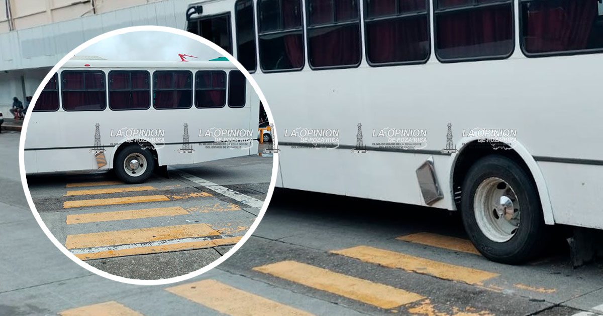 Transportistas no respetan los pasos peatonales