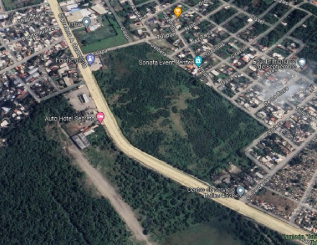 ¡Les salió el coco!