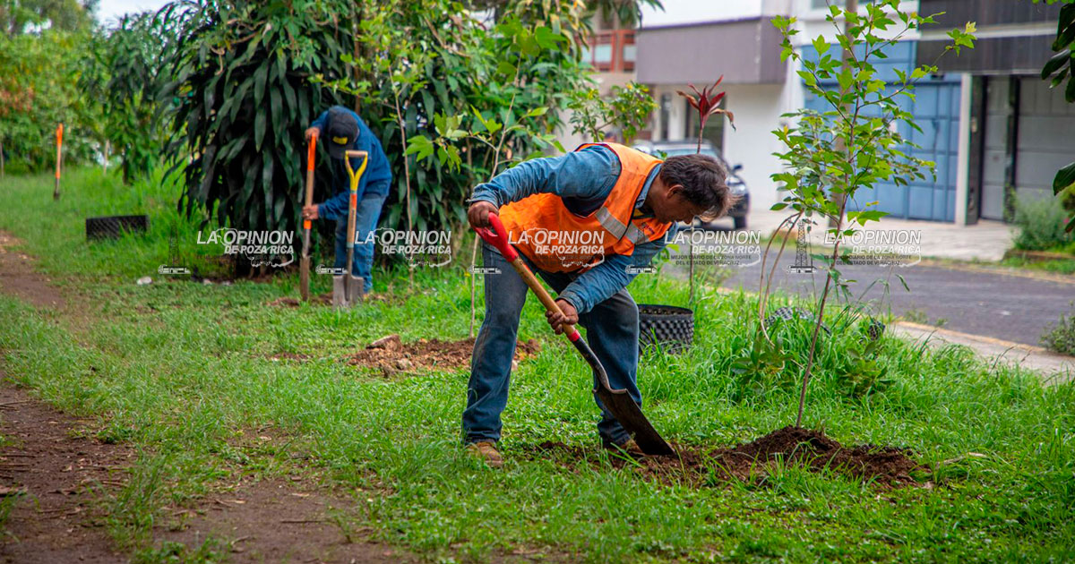 Se realiza jornada de reforestación y mantenimiento de áreas verdes