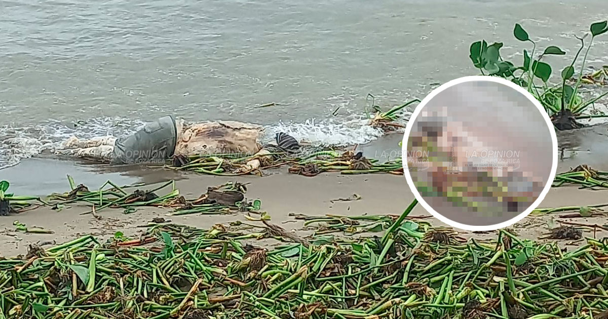 Encuentran cuerpo en descomposición en playa de Alvarado