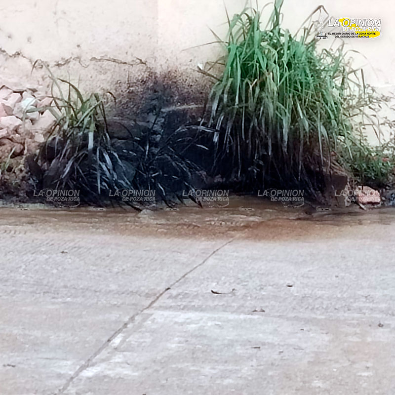 Provoca PEMEX daño ambiental por derrame de hidrocarburo