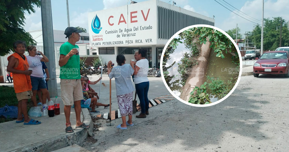 Podrían manifestarse otra vez en la División de Oriente
