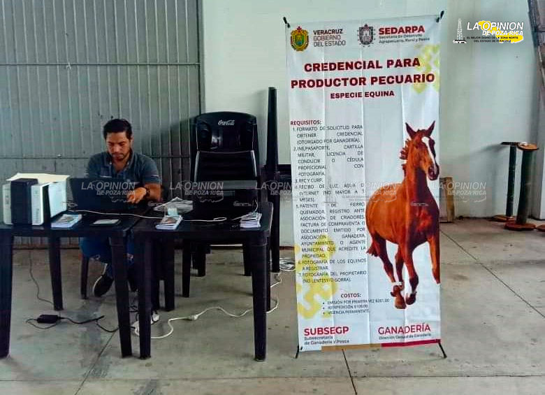 Reactivan la campaña para registrar equinos