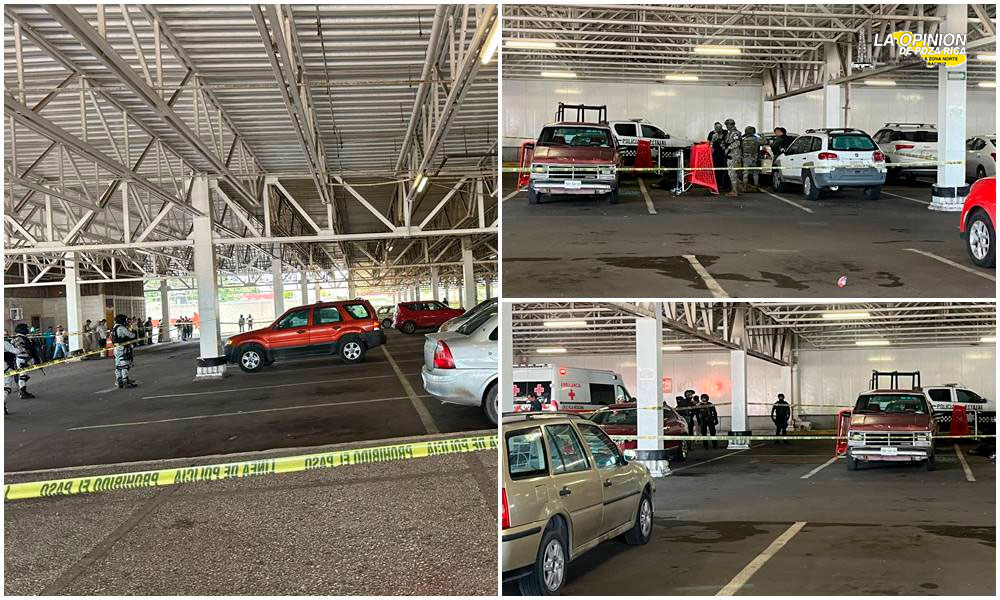 Aumento alarmante de feminicidios en Veracruz durante Julio