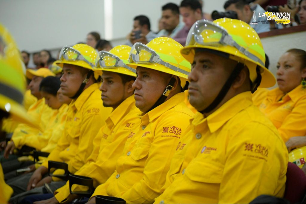 El 28 de julio, próxima jornada de reforestación masiva