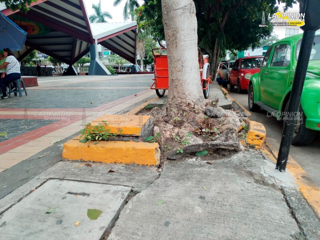 Con los parques sucios, destrozados y olvidados reciben a visitantes