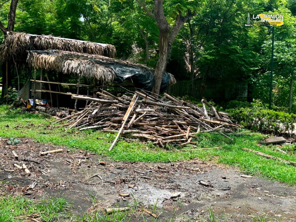 Buscan ofrecer mejor imagen a los visitantes