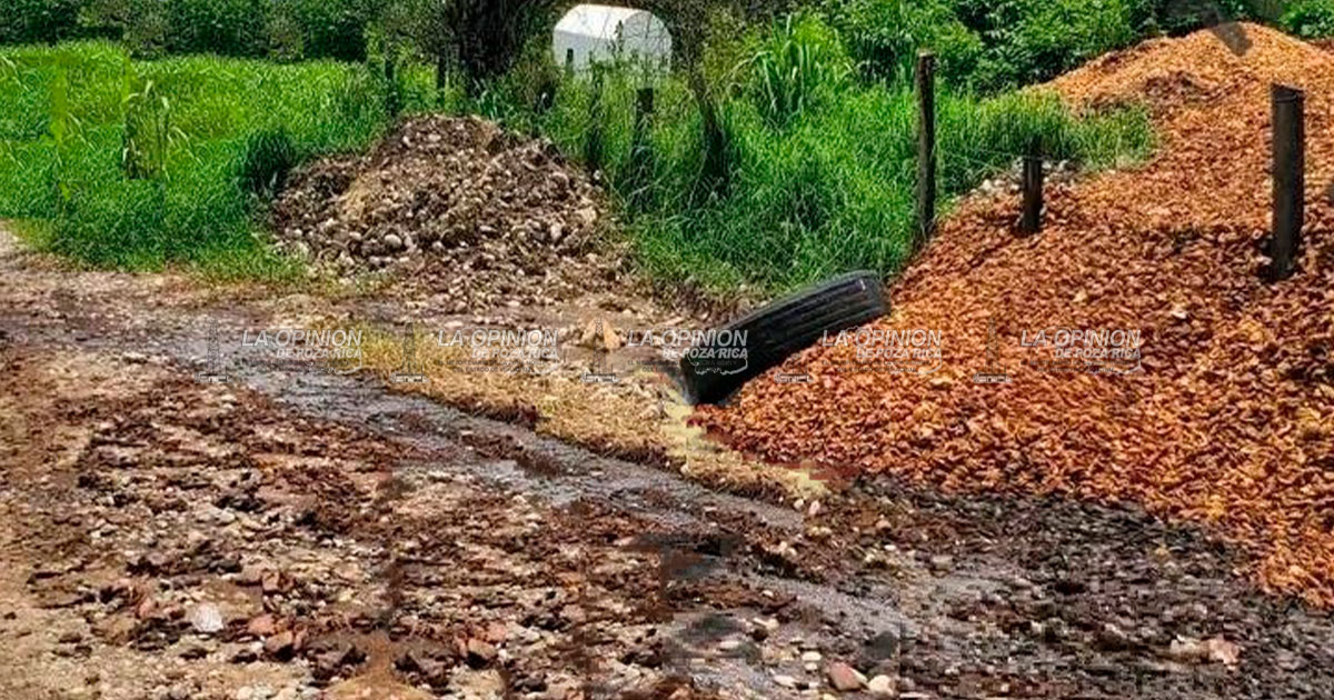 Pestilencia en camino vecinal