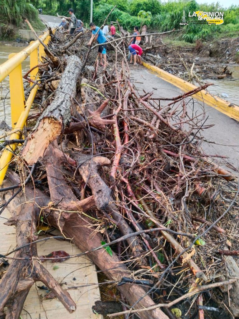 Puente en Tres Naciones, quedó cubierto por palizada