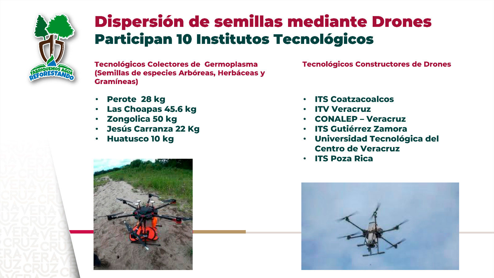 Gobierno estatal empleará drones para restaurar zonas afectadas por incendios