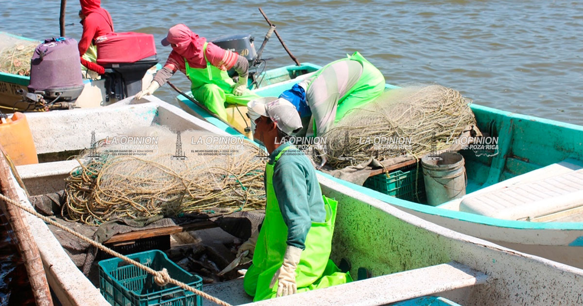 Pescadores en crisis ante veda del camarón