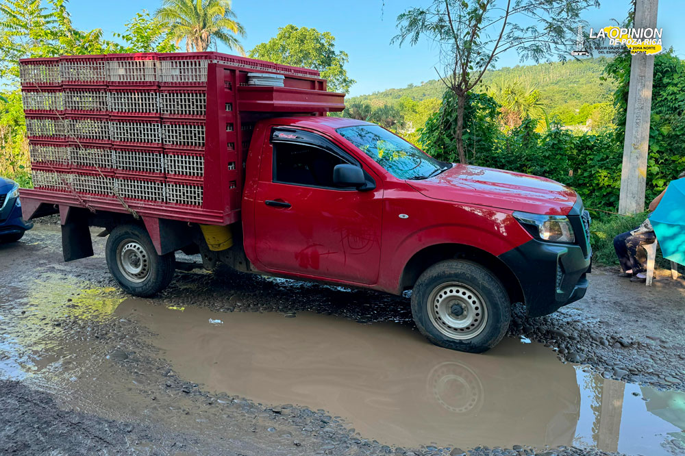 ¡Atropellada por camioneta!