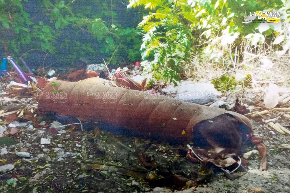 Pretenden limpiar arroyos de basura