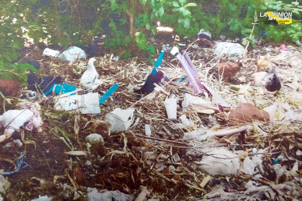 Pretenden limpiar arroyos de basura
