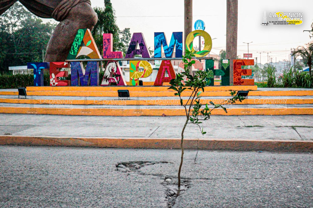 Lilia Arrieta abandona el centro de la ciudad