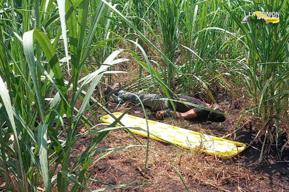 Abandonan cuerpo sin vida en un cañal