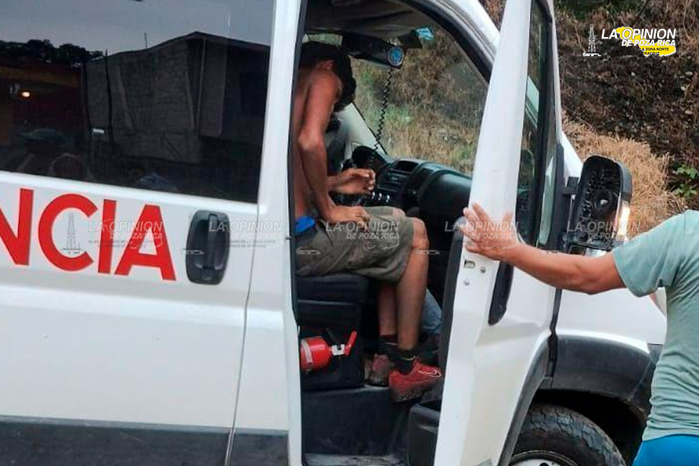 Cortadores a punto de perder la vida