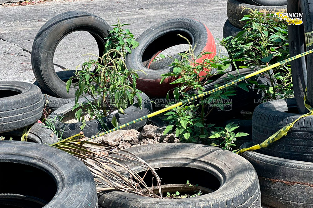 Nuevo fraccionamiento: "El Dengue", en Poza Rica