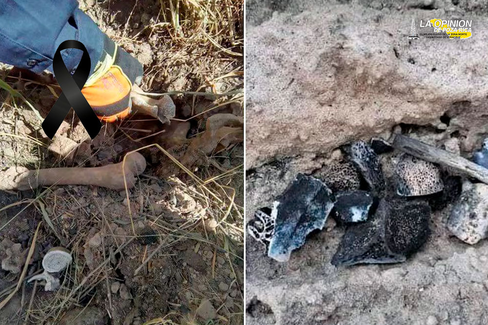 Madres buscadoras encuentran dos campos de exterminio en Tamaulipas