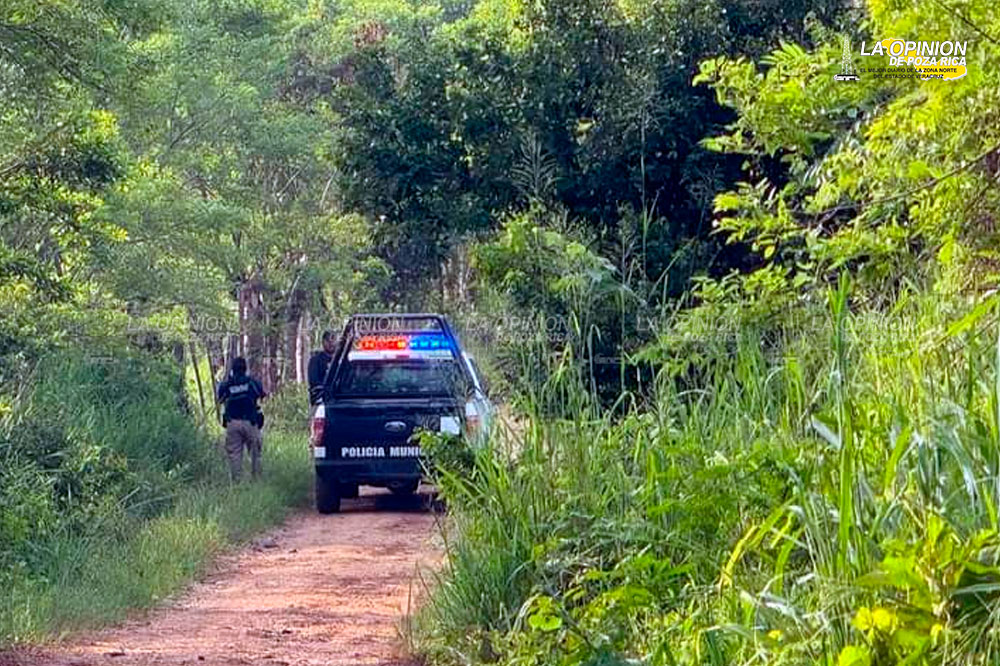Hallan mujer calcinada en camioneta