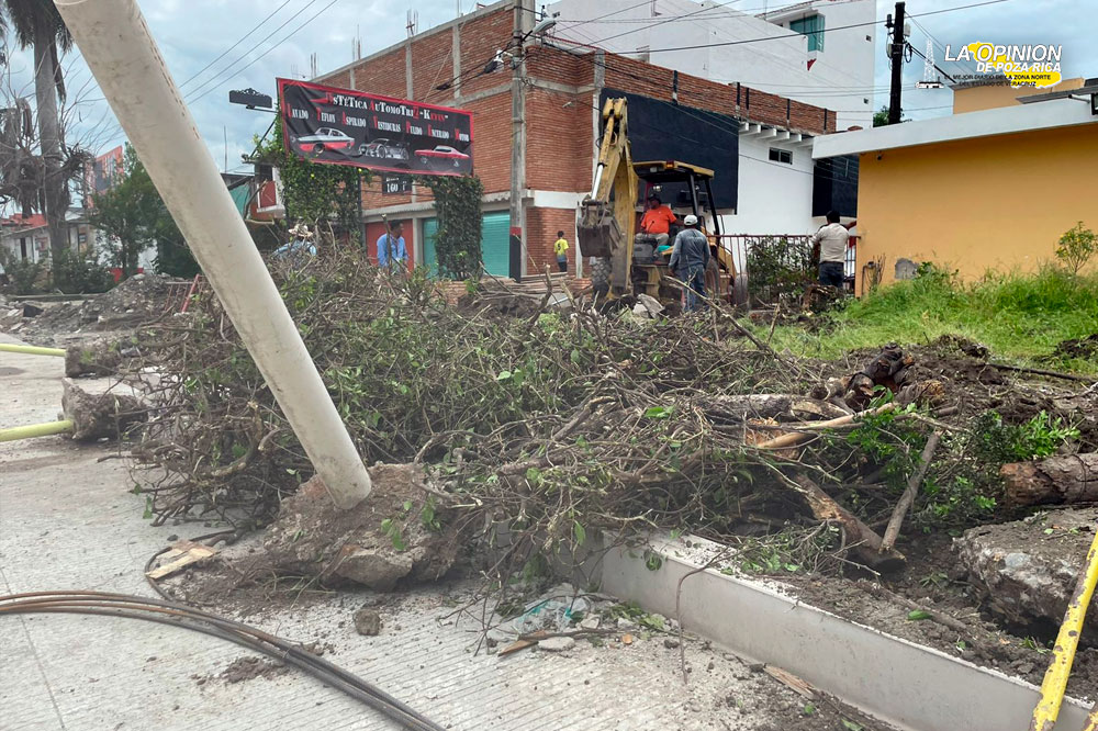 No repara sus unidades, menos las calles