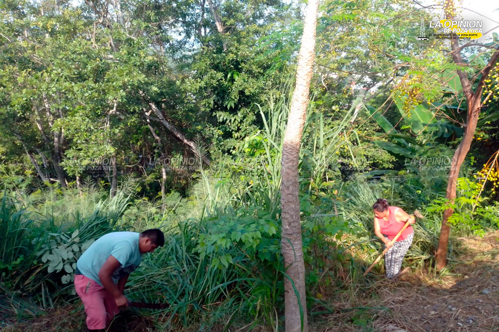 Realizan faena padres de familia en la primaria Sor Juana Inés de la Cruz