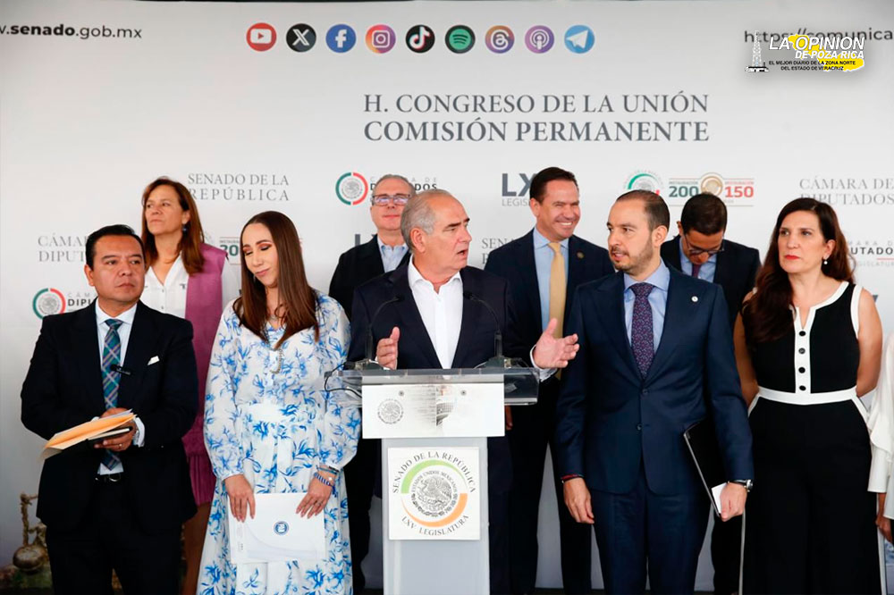 La sobrerrepresentación está alterando la voluntad popular: Julen Rementería