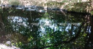 3 meses de contaminación con hidrocarburo padece Ojital Viejo