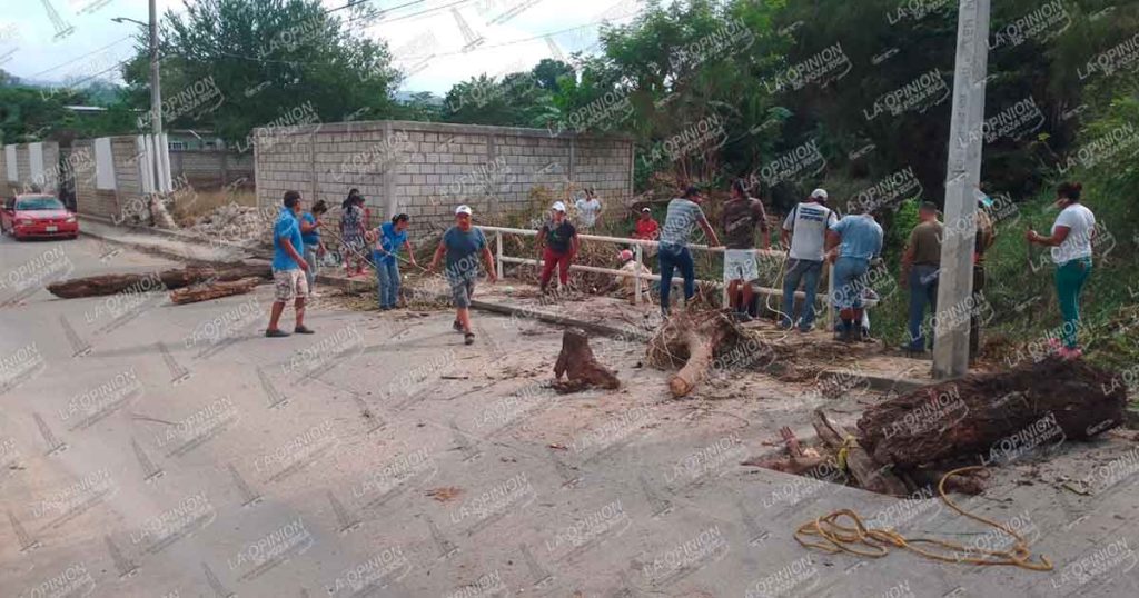Mujeres y hombres arman faena y limpian puente de la colonia Reyes Heroles