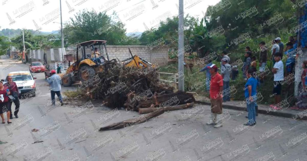 Mujeres y hombres arman faena y limpian puente de la colonia Reyes Heroles
