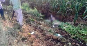 Un muerto en accidente vehicular en la carretera a Espinal